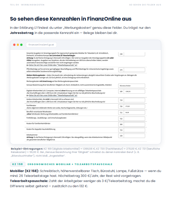 FinanzOnline Screenshot aus dem E-Book